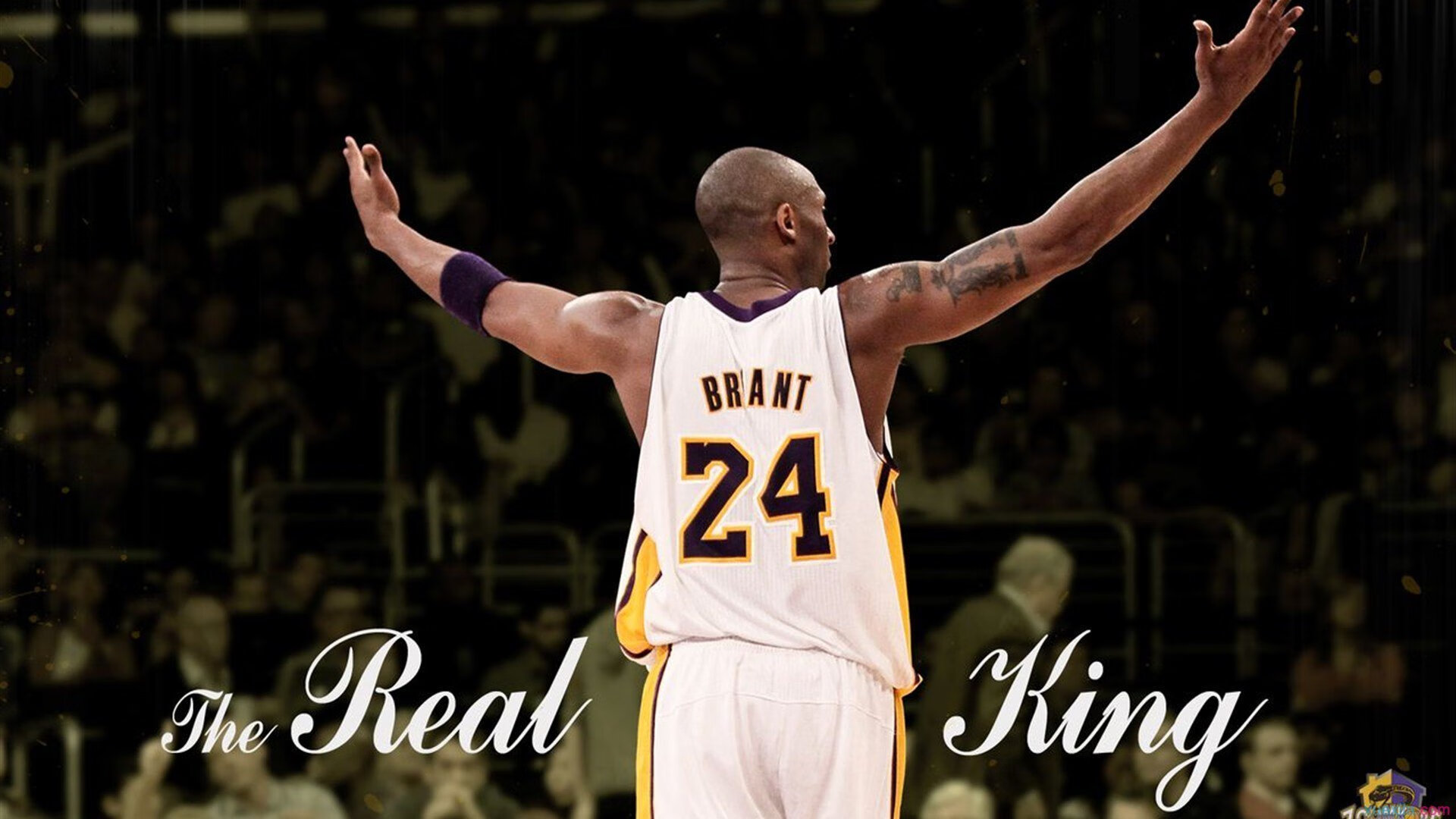 韩国星际争霸选手强势回归,韩国星际争霸第一人